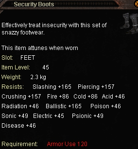 security_boots