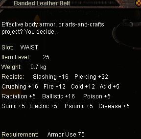 banded_leather_belt