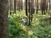TN_07170026.JPG