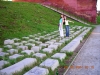 TN_DSCN0465.JPG