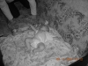 TN_DSCN1263.JPG