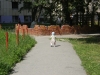 TN_P7070017.JPG