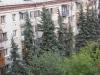 TN_P8240905.JPG