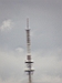 TN_P8240938.JPG