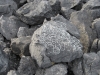 TN_agapova_na_sa9nah076.JPG