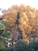 TN_PA050136.JPG