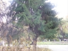 TN_PA050145.JPG