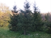 TN_PA050149.JPG