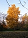 TN_PA050156.JPG