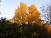 TN_PA050163.JPG