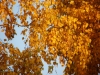 TN_PA050166.JPG