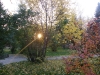 TN_PA050168.JPG