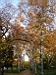 TN_PA050185.JPG