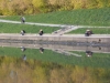 TN_PA050225.JPG