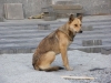 TN_PA050273.JPG