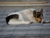 TN_PA050274.JPG