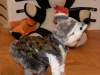 TN_PC280165.JPG