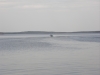 TN_P5090277.JPG