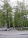TN_P5240075.JPG